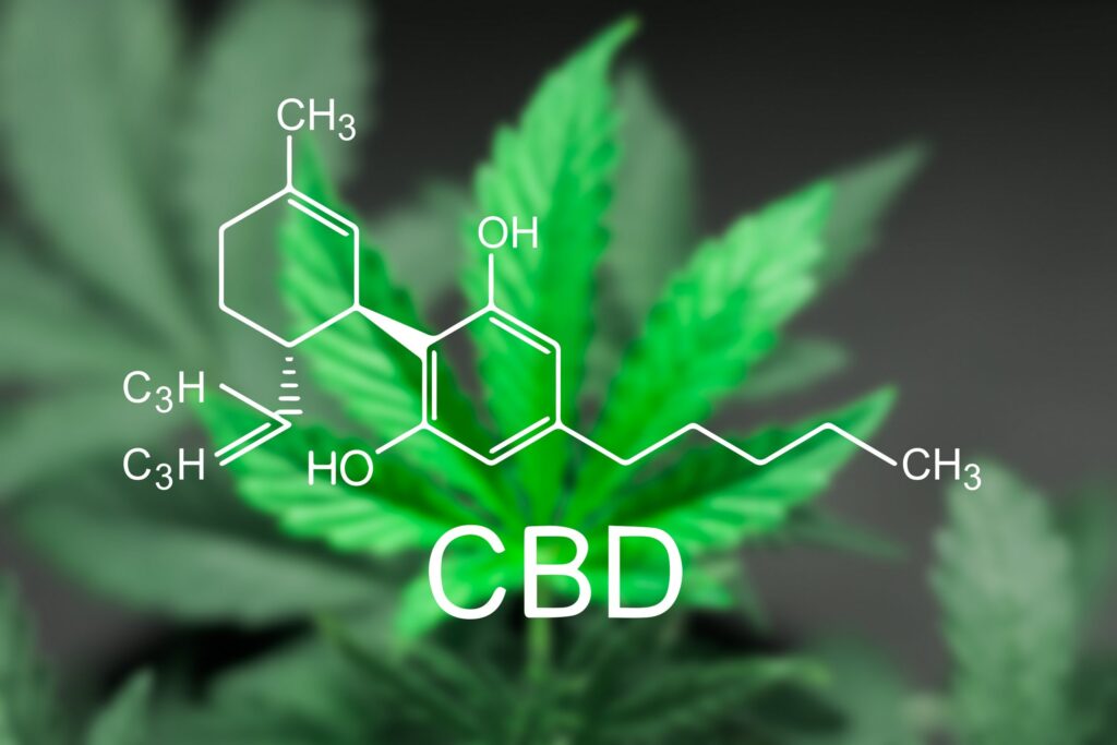 CBD in your system